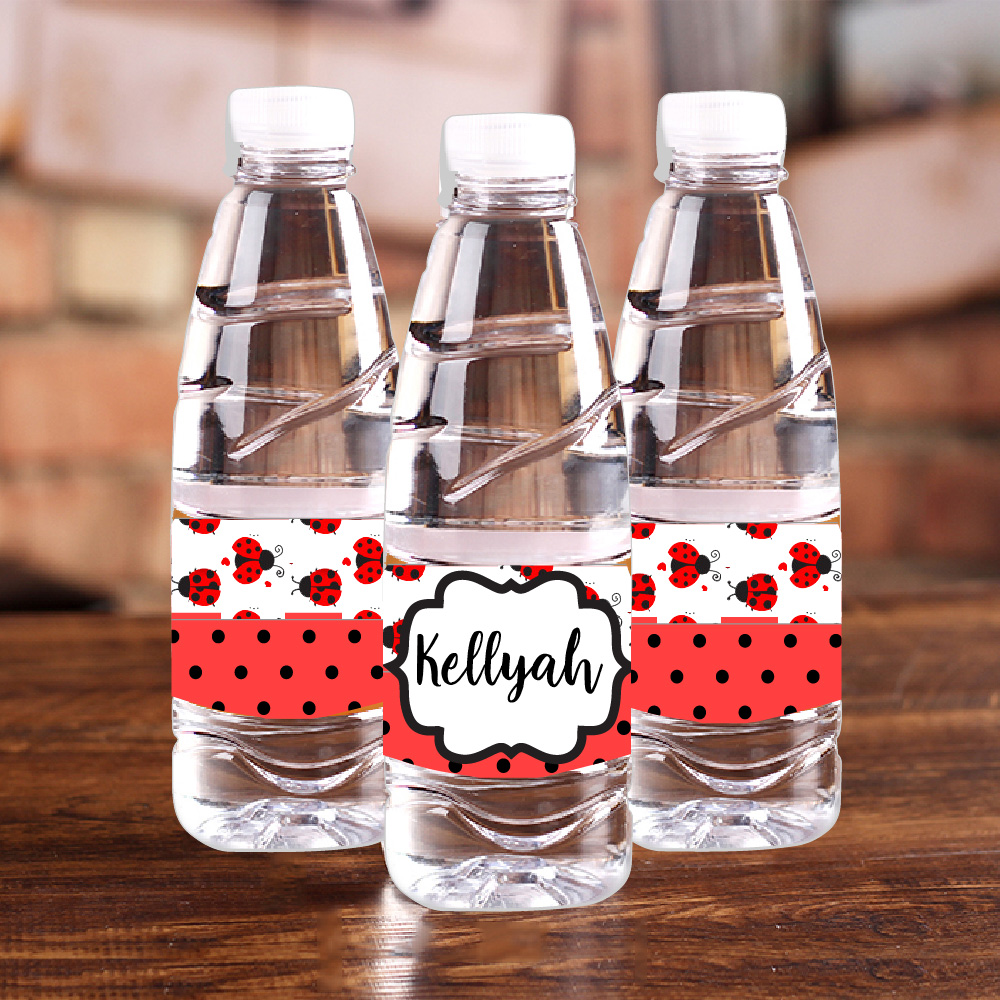 Personalised Ladybug Red Polka - огляд і ціна Car Accessories Nearby